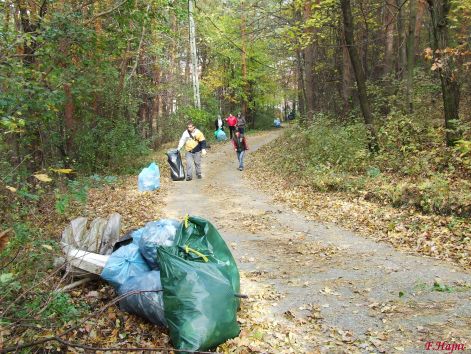 cserebogar2010.10.23_085.jpg